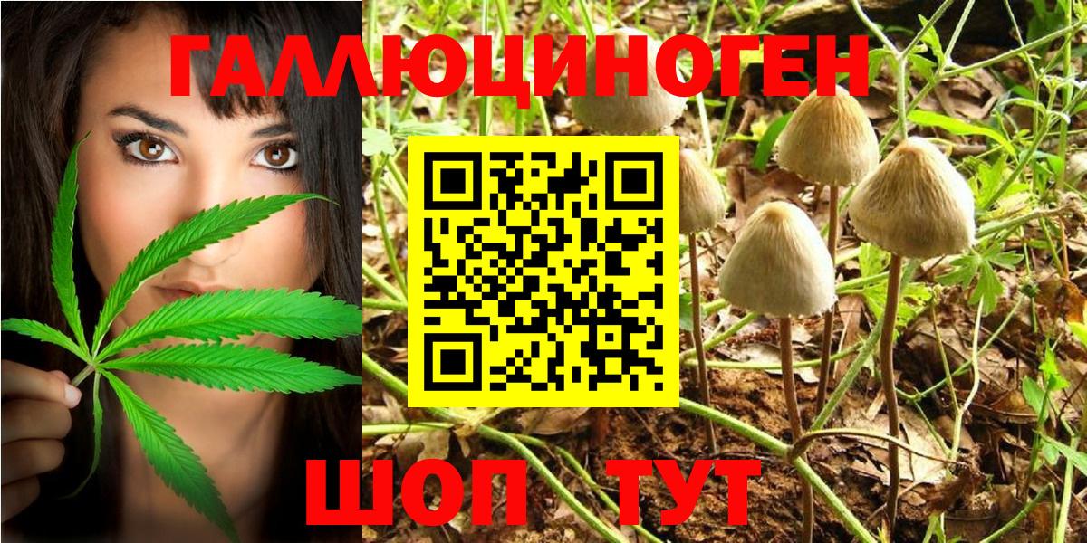 Галлюциногенные грибы Magic Shrooms Курчалой