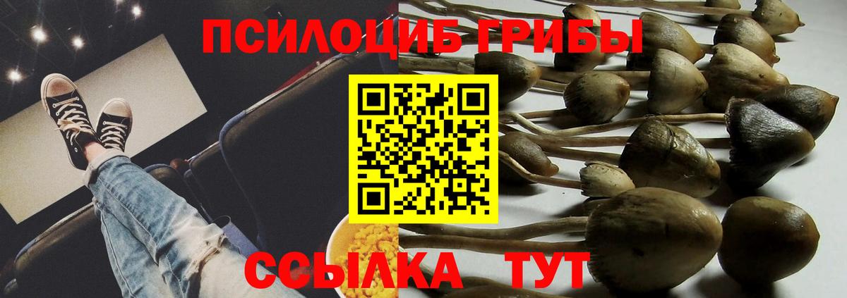 где найти   Галлюциногенные грибы мицелий  Вход с VPN  Курчалой 