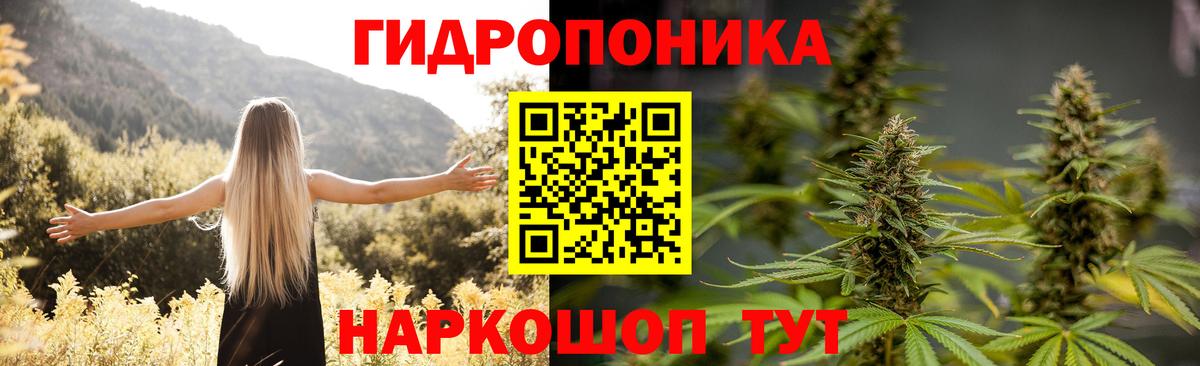 Бошки Шишки MAZAR  Вход с VPN  Курчалой  МАРИХУАНА Amnesia  Марихуана сатива 